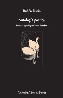 libreriasinopsis1123097