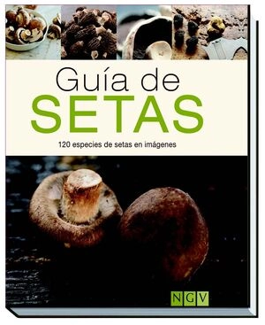 libreriasinopsis1123924