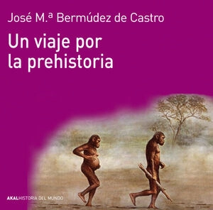 libreriasinopsis1231493