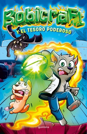 libreriasinopsis1473260