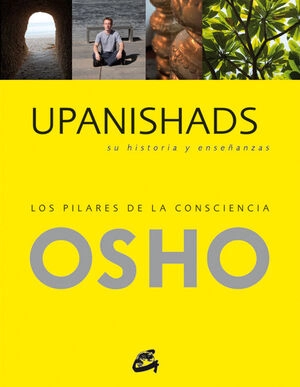 libreriasinopsis1479865
