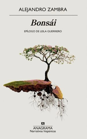 libreriasinopsis1603613