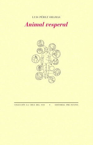 libreriasinopsis1701545