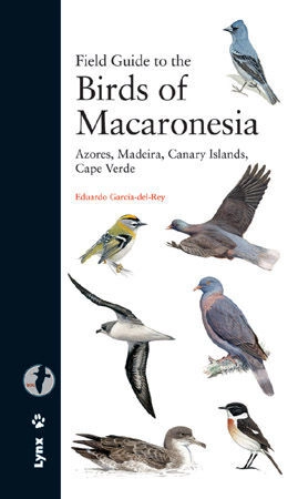 libreriasinopsis1713826