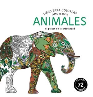 libreriasinopsis1751061