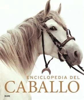 libreriasinopsis2125066