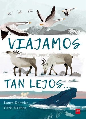 libreriasinopsis317536