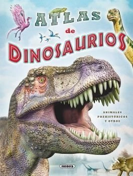 libreriasinopsis346224