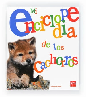 libreriasinopsis37581