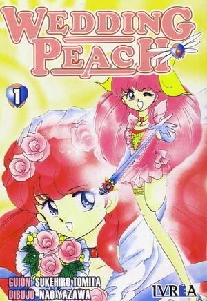 libreriasinopsis432869