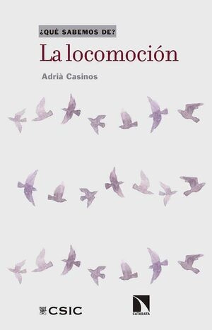 libreriasinopsis446245