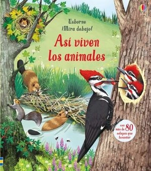 libreriasinopsis604707
