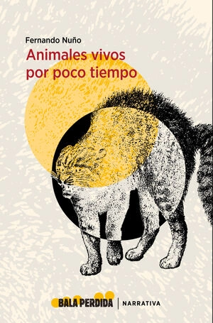 libreriasinopsis937912